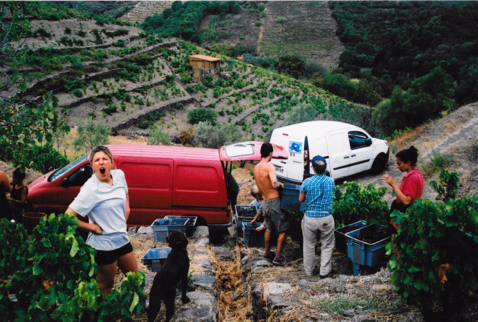 Vendanges — transport